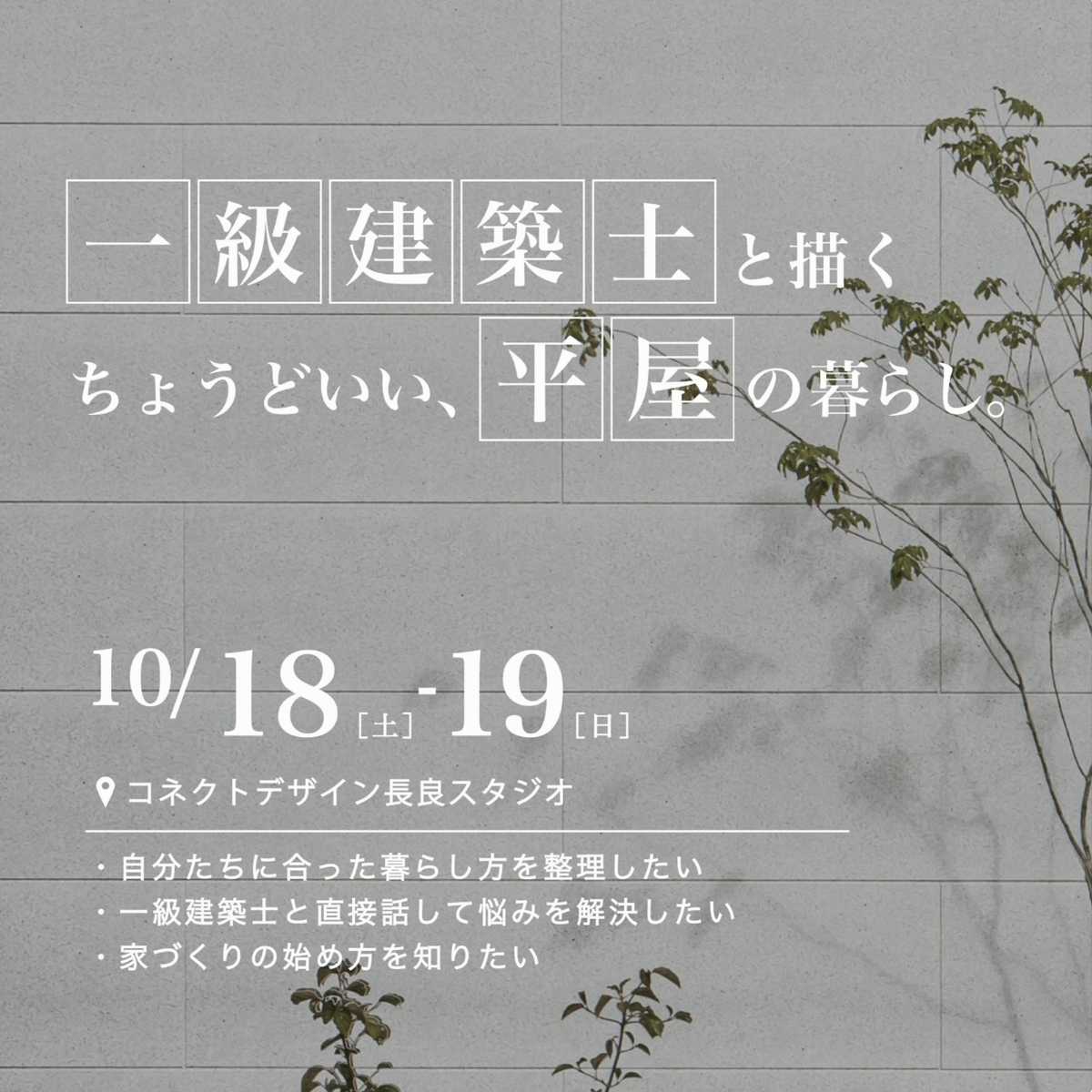 平屋相談会